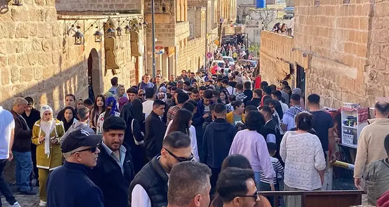 Binlercesi Mardin’de ortaya çıktı: Görenler cep telefonuna sarıldı