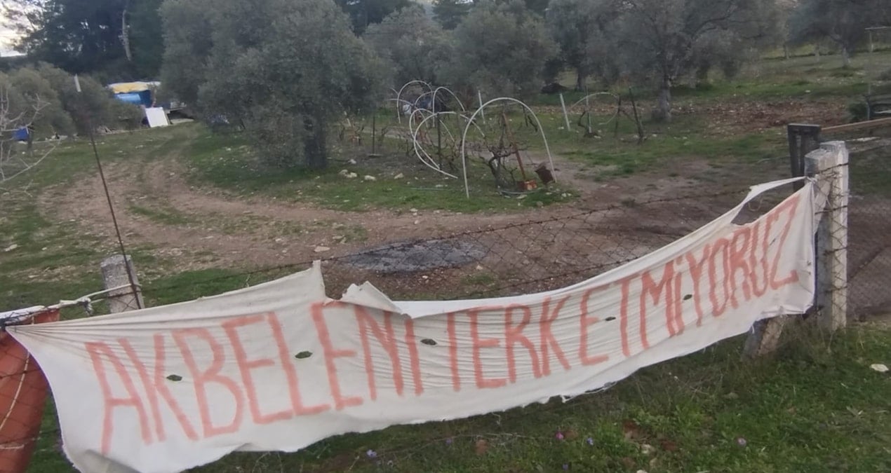 Akbelen’i katletti zeytinlere dadandı