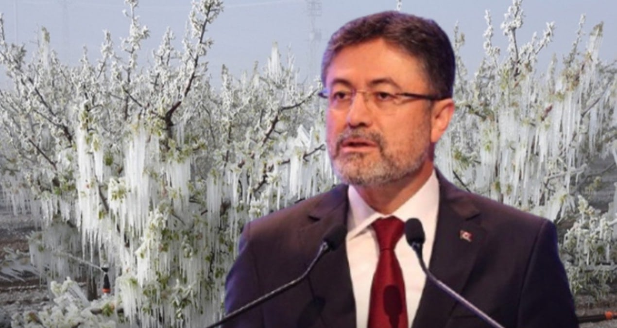 Tarım Bakanı zirai donun perişan ettiği çiftçiyi azarladı