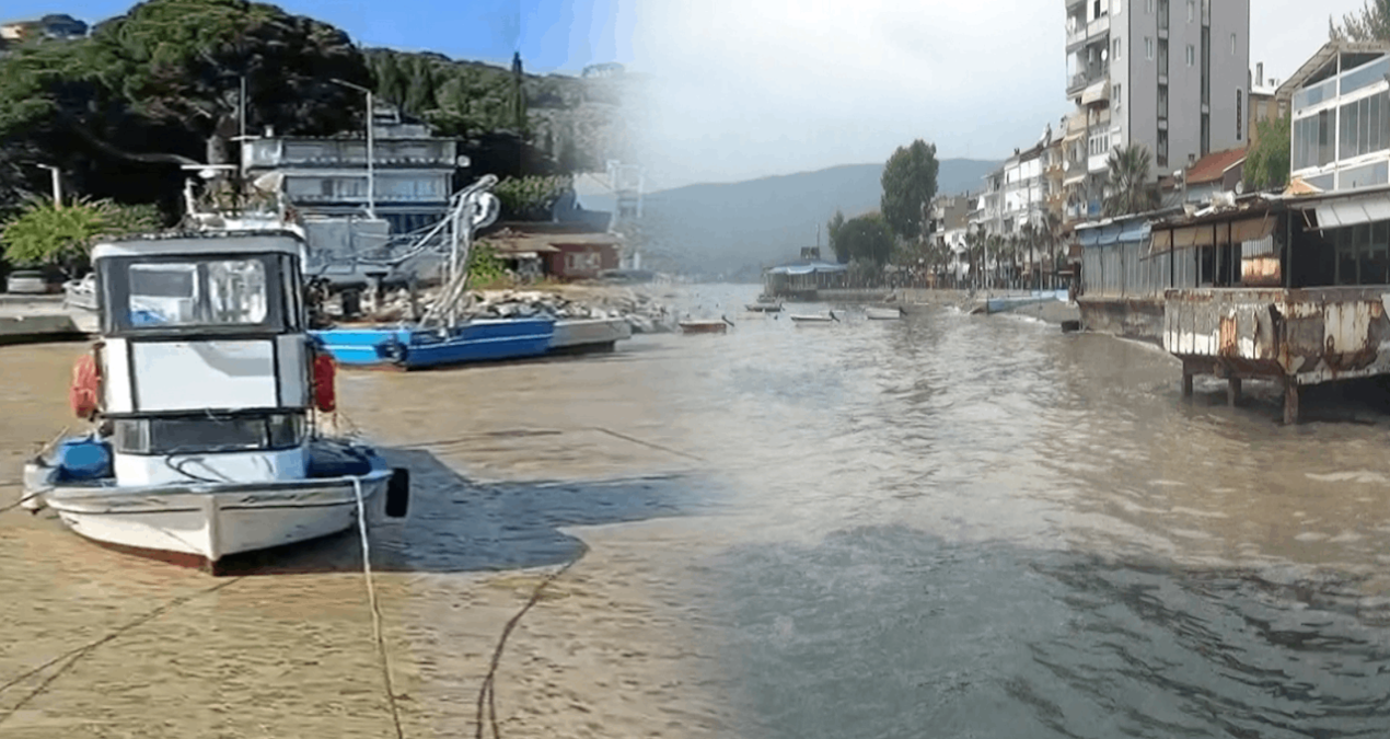 Marmara’nın turistik körfezinde müsilaj kabusu