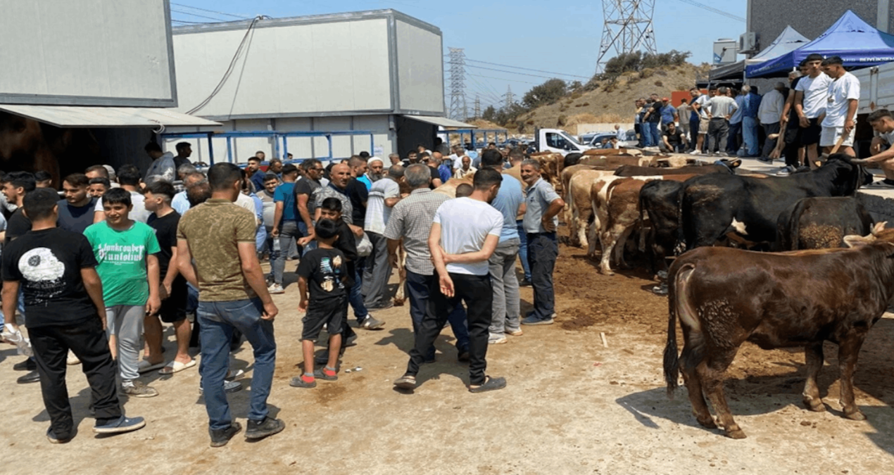İzmir’de kurban kesim noktalarında yoğunluk