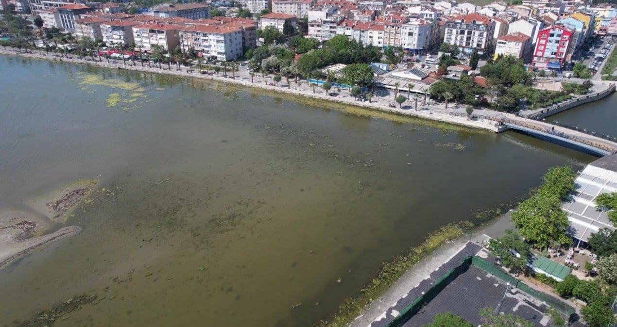Silivri’de endişelendiren görüntü: Deniz yeşile büründü, uzmanlar uyardı