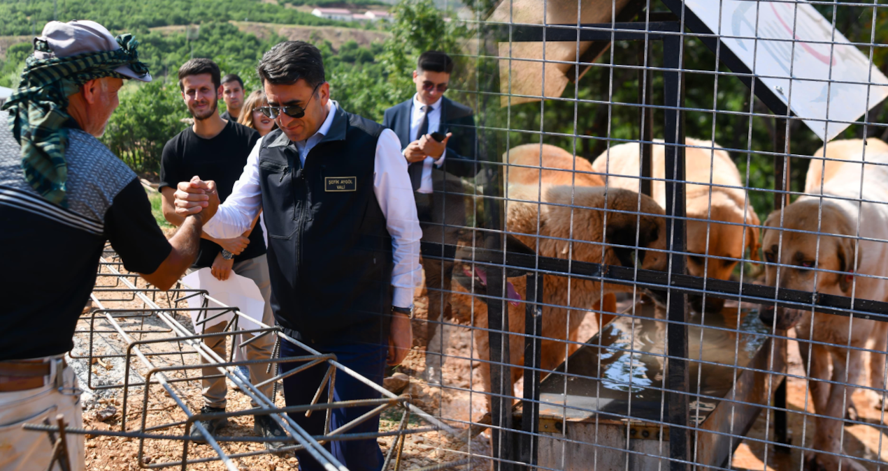 Tunceli’de sokak hayvanlarına güvenli yaşam alanı kuruluyor
