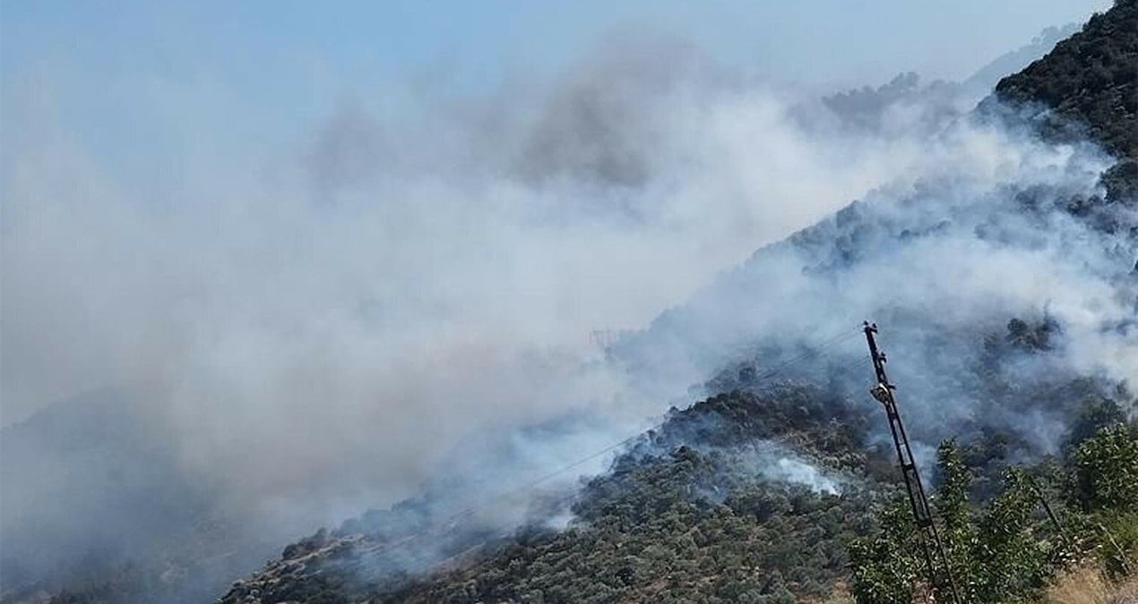 Aydın Bozdoğan’da korkutan orman yangını
