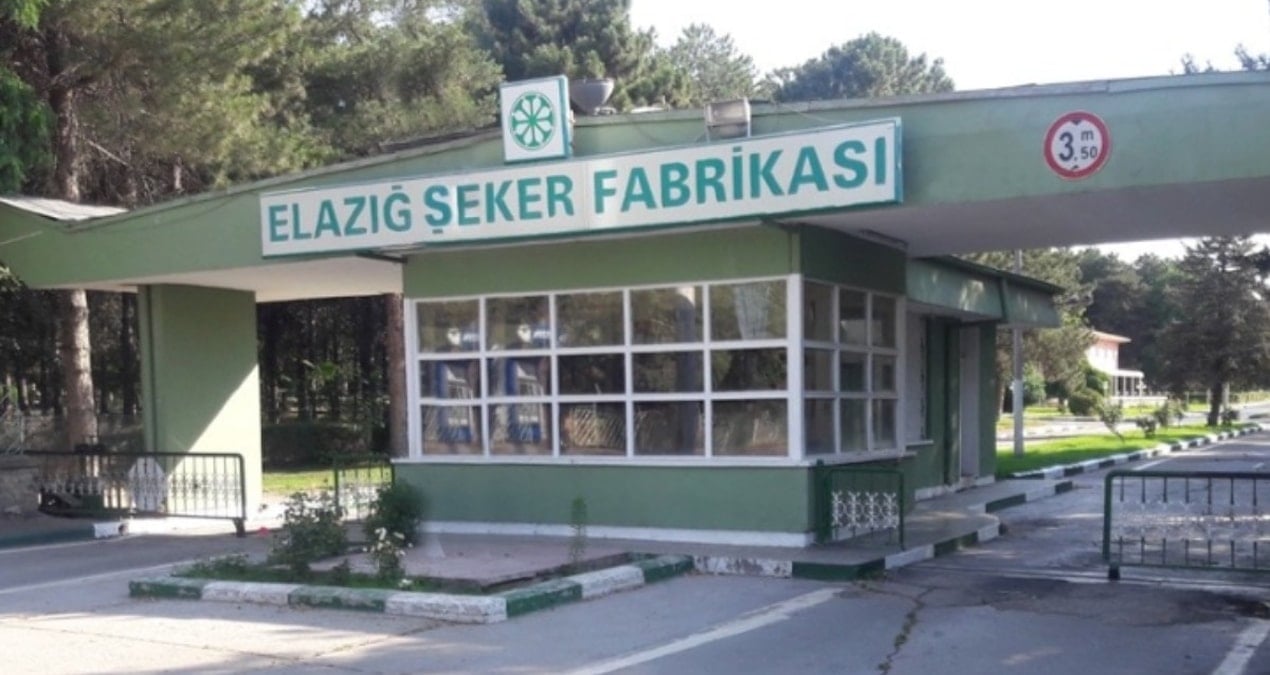 Elazığ’da ‘pancar’ krizi: Teslimat durdu, ürün tarlada kaldı
