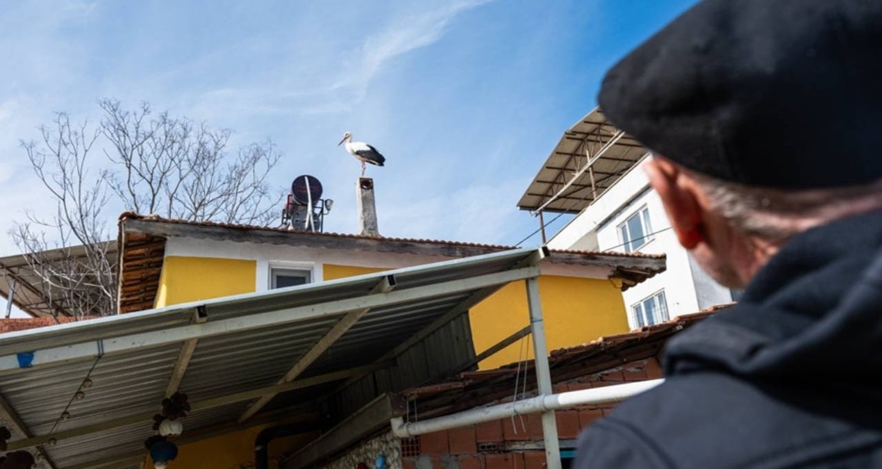 Yaren leyleğin eşi Nazlı geldi
