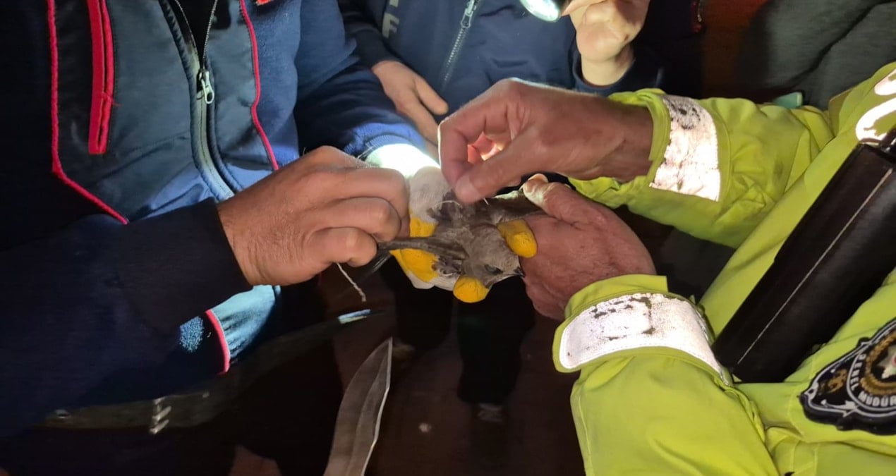 Ebabili kurtarmak için cadde trafiğe kapatıldı