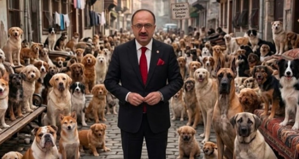 AKP’li vekil, ‘köpek demeyin it deyin” buyurdu! Bu milletin 450 bin lira maaş ödediği vekilin derdine bakın…