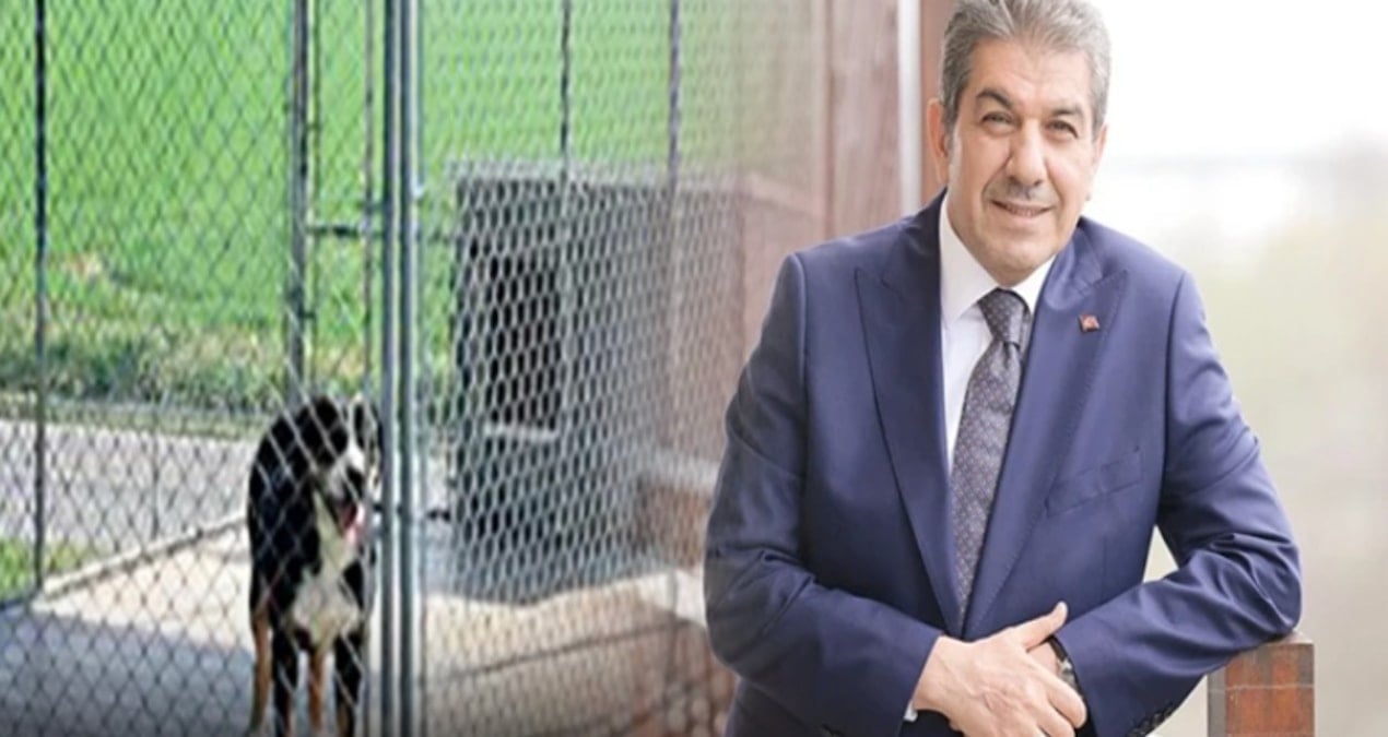 Alibaba 1900 lira, Tevfikbaba’da 151 bin lira! AKP’li belediye köpeklere villa mı alıyor?
