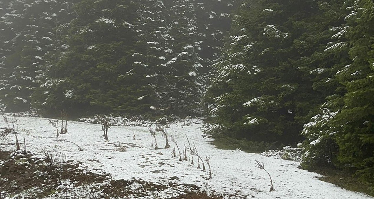 Bolu’nun yüksek kesimlerine kar yağdı