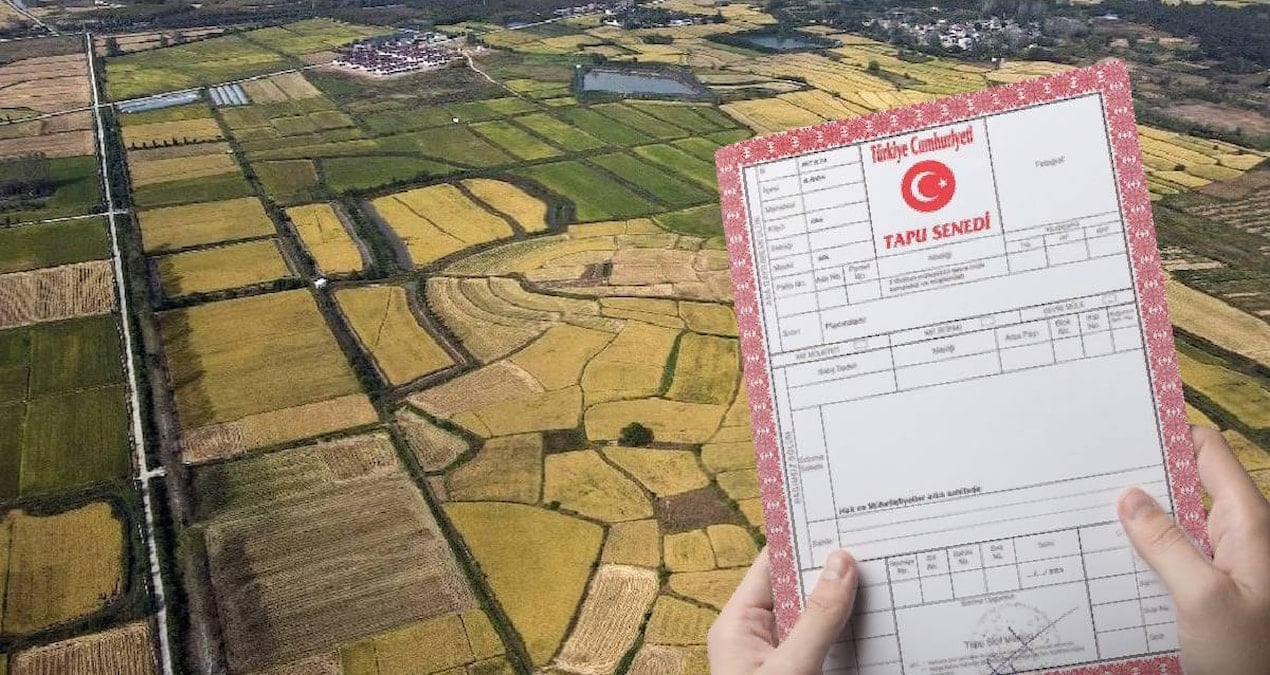 Kimsenin yüzüne bakmadığı o arsalar servet kazandıracak