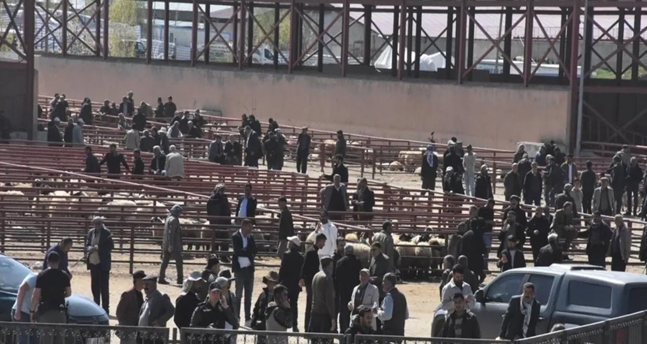 Kurban Bayramı öncesi hayvan pazarında kan aktı! 1 ölü, 13 yaralı
