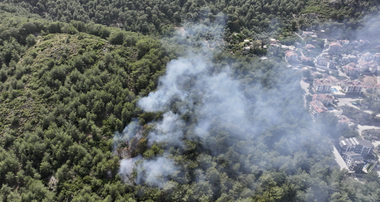 Muğla Fethiye’de orman yangını