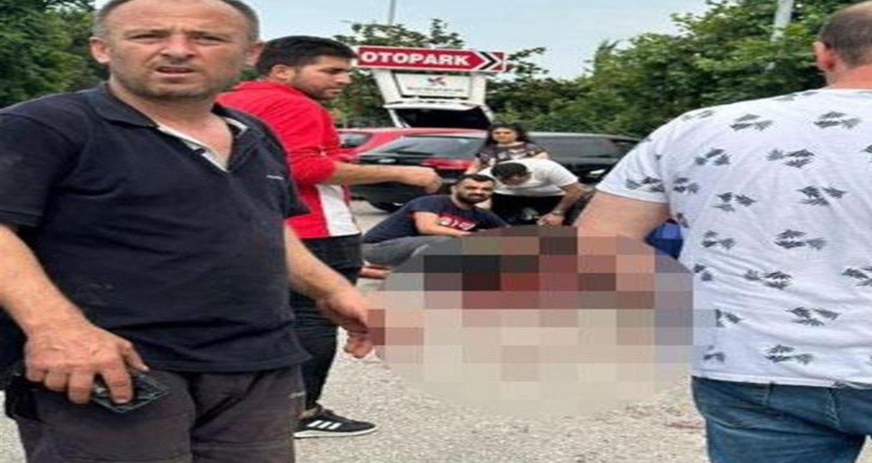 Patronunun boğazını kesip milyonluk çek ve ziynet eşyalarıyla kaçtı