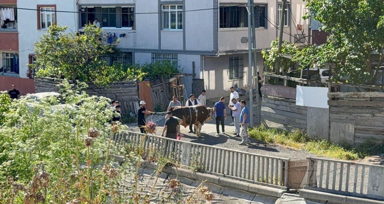 Sokak arasında kurban keserken yakalandılar