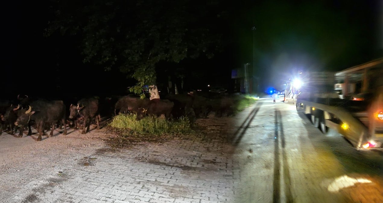 Tokat’ta bir köy tahliye ediliyor!