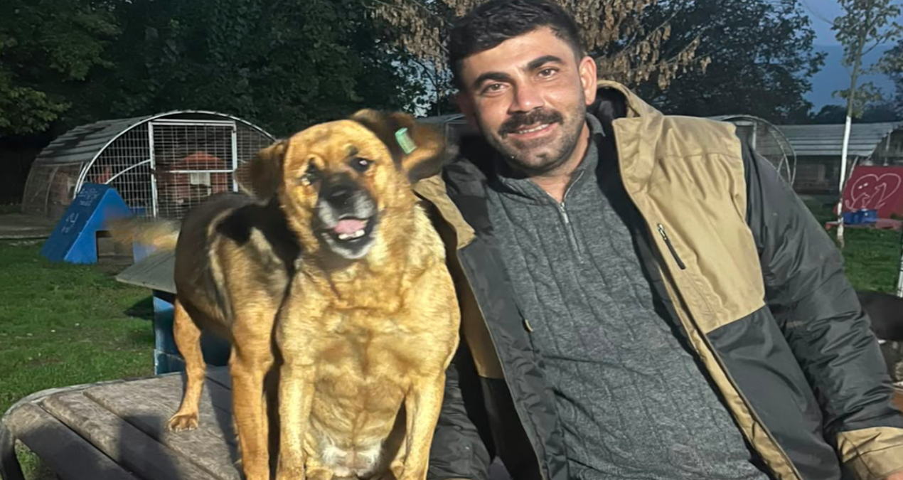 Hayvanlar için mücadele etti, çetelerin tehdidiyle karşı karşıya kaldı