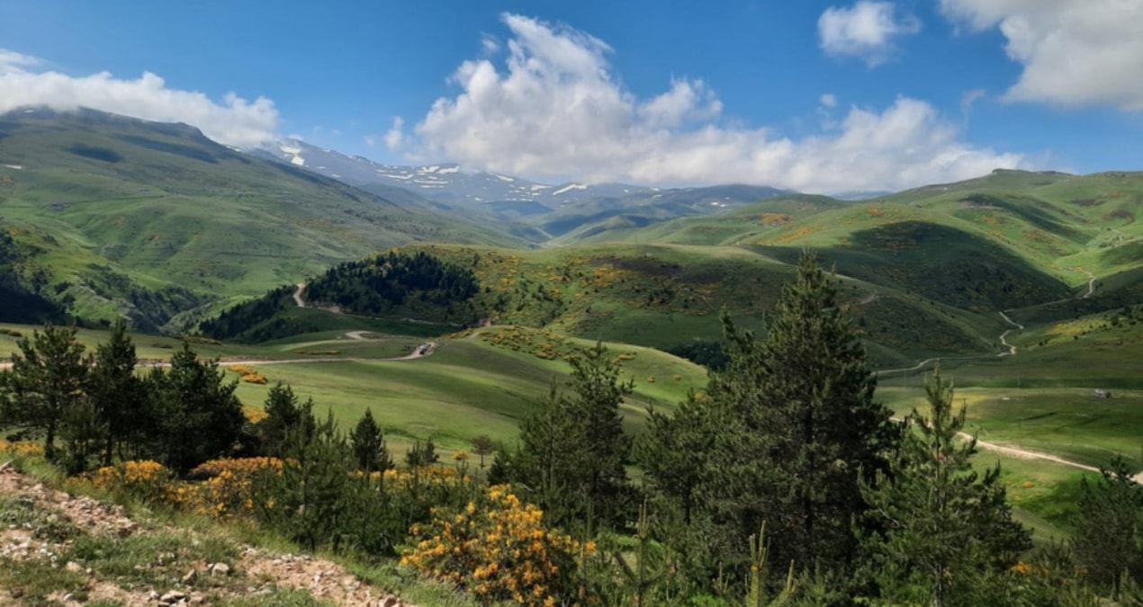 Karadeniz’in doğa harikası yaylalarındaki rant hırsı büyüyor