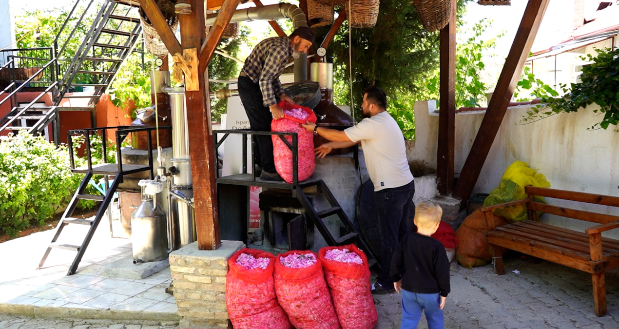 50 kilo üründen 2 saatte çıkan mucize: Almanlar kapış kapış alıyor!
